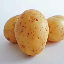 Les pommes de terre peuventelles passer au microondes  Vous ne pouvez pas